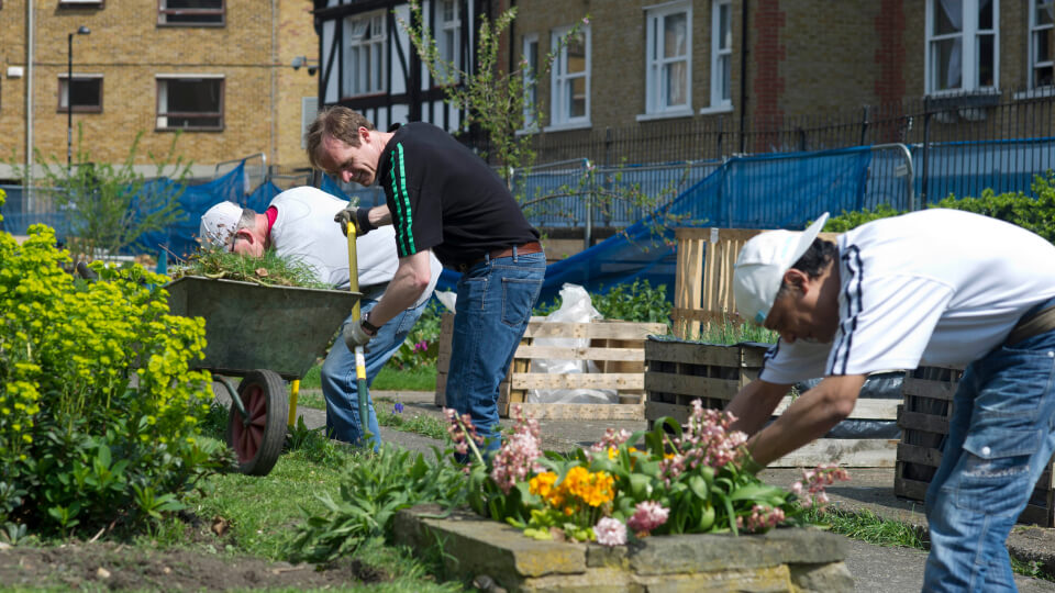 Men Gardening